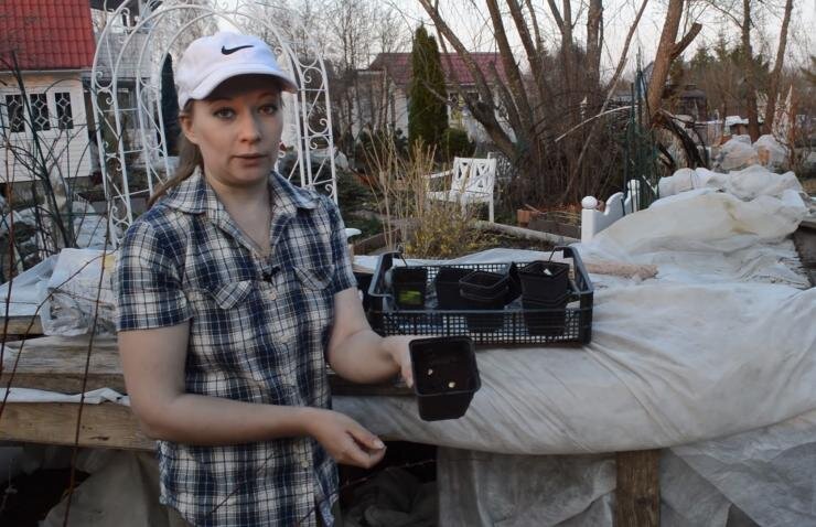 Что стоит посеять в мае: секреты успешной рассадки