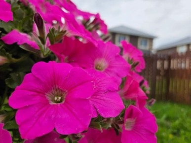 7 ����� ����������� �������, ������� ���������� ��� ���