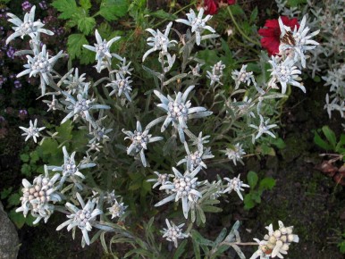 ����������: ���� �� ����� � ��������� ����