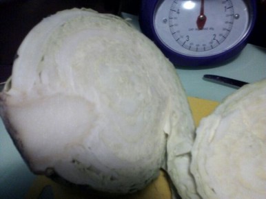 ��������� ������������: 10 �����, ������� ����� ����������� �� ����� �������