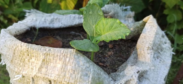 ��� ����������� ���� �����: ������� ���������� ������