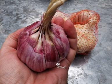 ��������������� ������: ��� ����� ����� �������� ��������� ��������