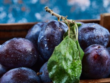 ������� ����� �����: �������� � ����������� ��� ������ ����