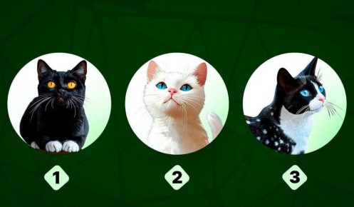 ����� �� �� ����� ����: �������, ������ ������ �� ���� �����