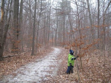 ������� ��������� �����: ��� ������������� ���� �����