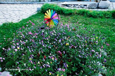 ��������� �������: ������ �� �������� ��������� ������ ��� ������