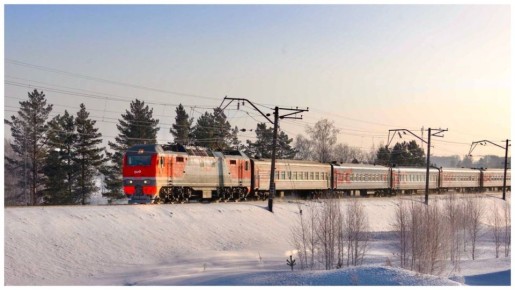 Борьба с билетными спекулянтами: Госдума вводит новые меры