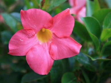 ������ �� ���������� ���������� ������: ������� ��������� �����