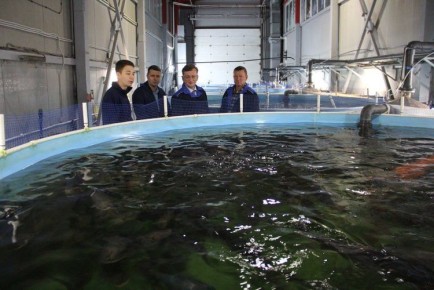 �������������: ��� ��������������� ��������� ����������� ����������������