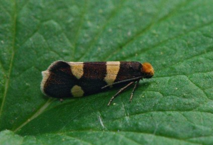 �������� ������ ��� ���������: ��� �������� �������� �� ����������