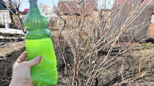 ��������� � ���������: ��� ����������� �������� �������� ������ ���