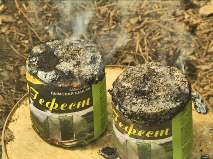 Табачные шашки Гефест: секреты успешного урожая и сохранности овощей