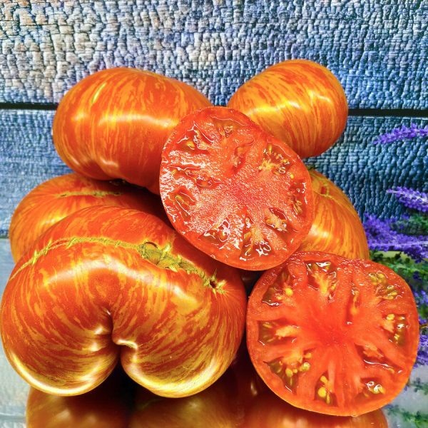 Крупноплодный томат для настоящих гурманов: знакомьтесь с Двойным восторгом Дона