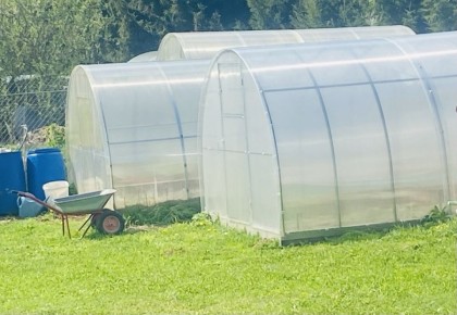 Как выбрать и установить идеальную теплицу для успешного урожая