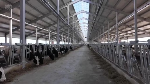 � ���������� � ������� �������� ��������, ������������� �������� ������������ � ������������ ������, ������� ������ ��������