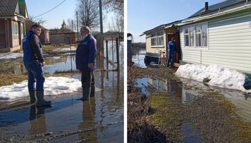 � ���� ���������� ������� ��������� ��������� ������������