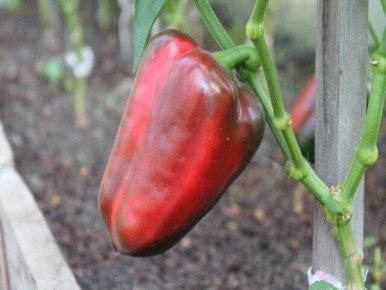 ������� �������� ������� �������� �����: ��� �������� ������� ������