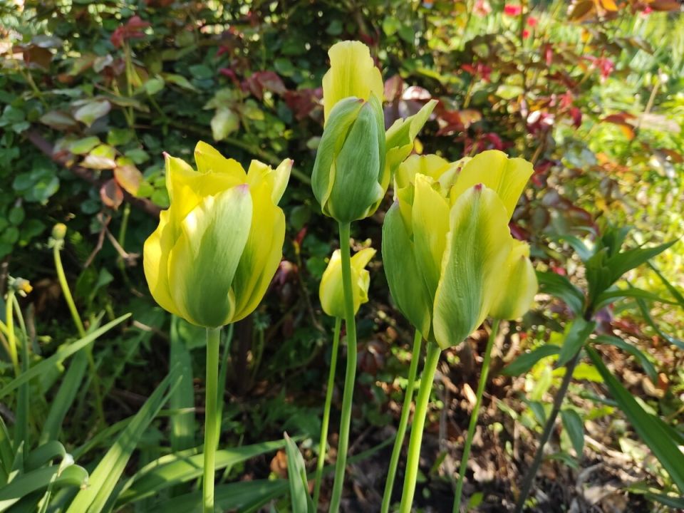 �������� ������� �������: ��� �������� ������ ���� ������� �����