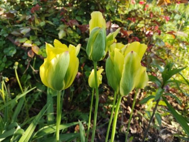 �������� ������� �������: ��� �������� ������ ���� ������� �����