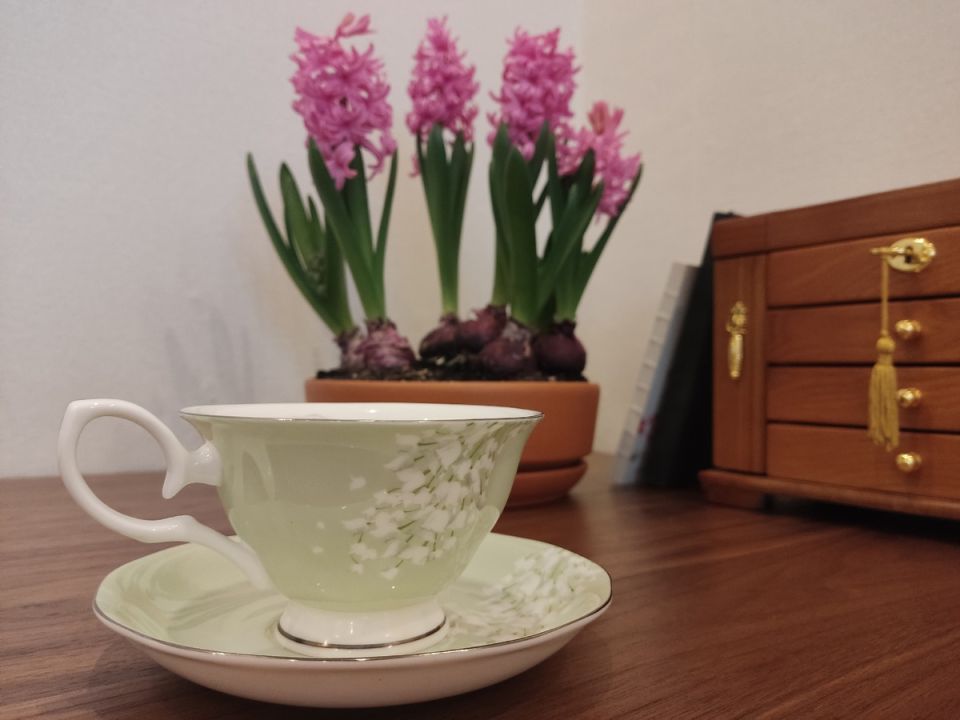 ��� ��������� � ���������� �������-�������� �������� ������ � ��������