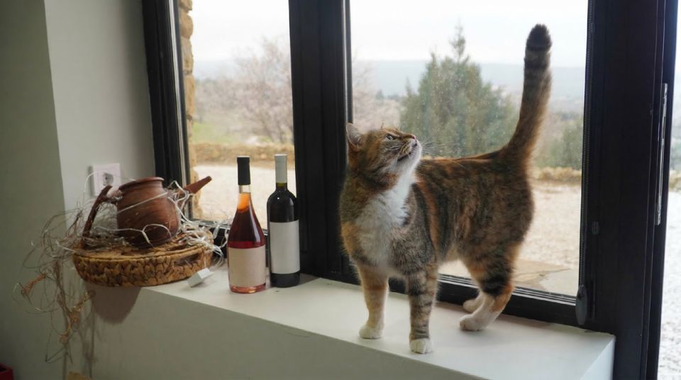 ������� ���������: ��� �������� ����������� ������ ������ �������� ��������� �����