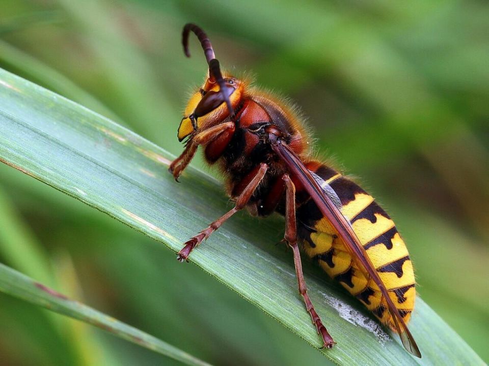 ������ �� ������ �� �������� � ����: ������� � ���������� ������