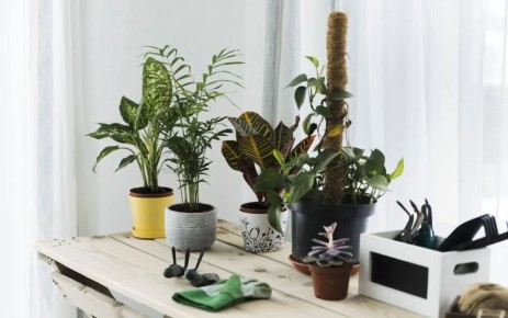 ��� ���������� �������� ��������� �� ��������� ����������