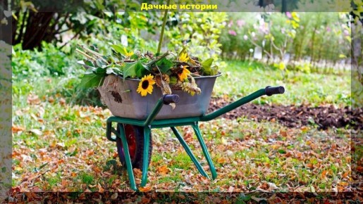 �������� �� ����: ����������� ������ ��� ��������