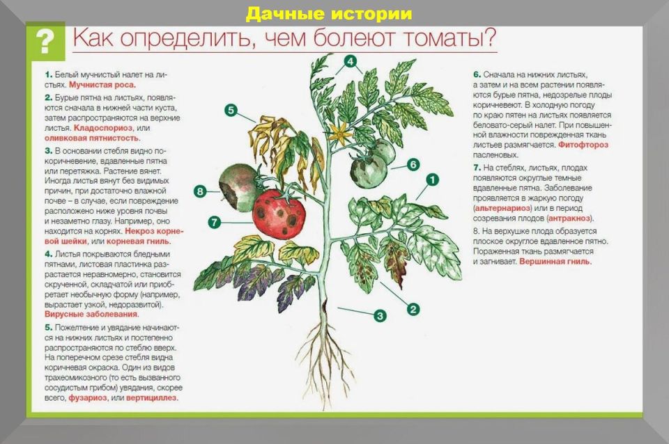 �������� ������ ��� ���������� ��������: ����� ���������������� ������� � ������