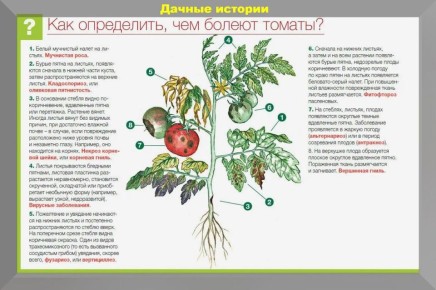 �������� ������ ��� ���������� ��������: ����� ���������������� ������� � ������