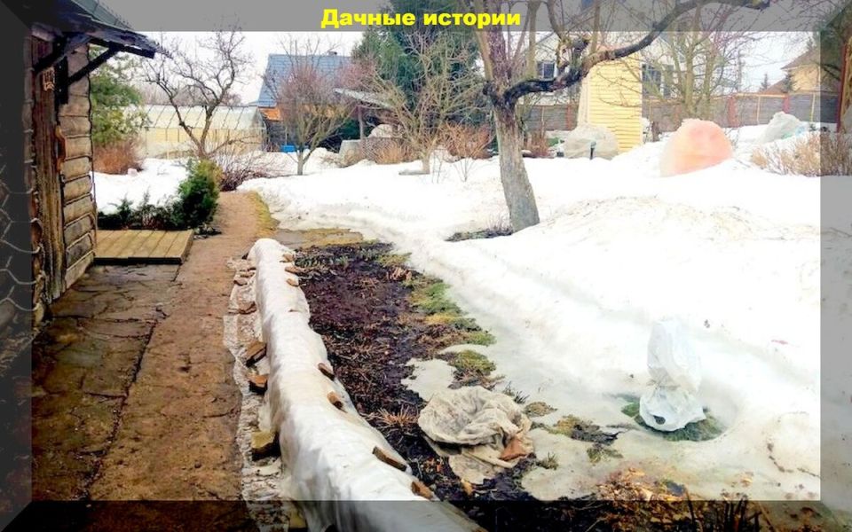 ������ �� ����: �������� ��� ��������� ������ � ������ � ����