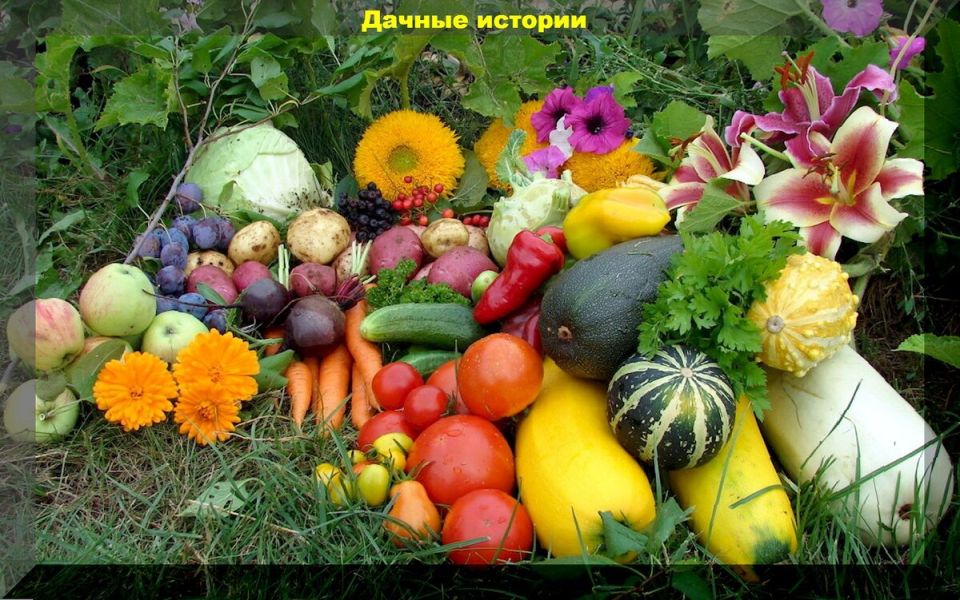 ������� � ������ ��� ���������� ��������: ��� ������������ � ��� �����������