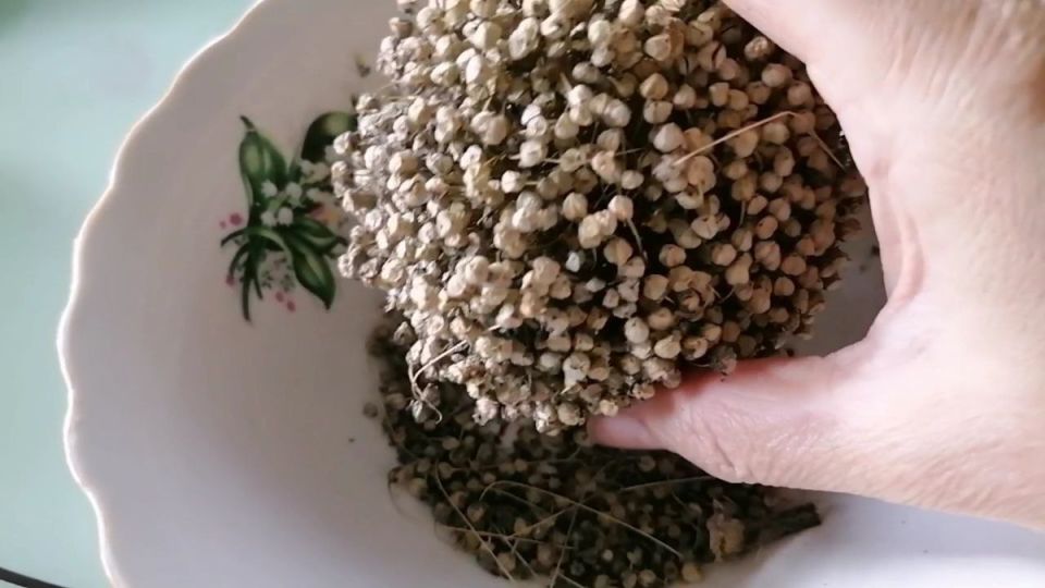 ��� ����� �������� �� ������� � �����?