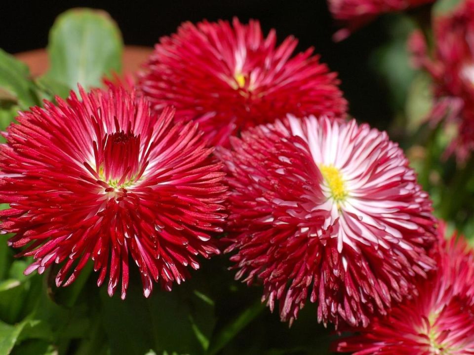 ��� ��������� ����� ����� ������: ������� ��������� ��������