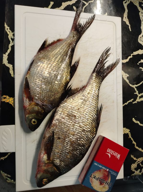 �������� ������ ������: ������� ������ ��������� ���� �� ���� � �����