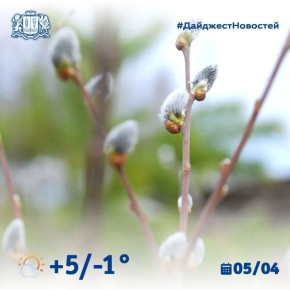 ������ ����, ���������� �������!