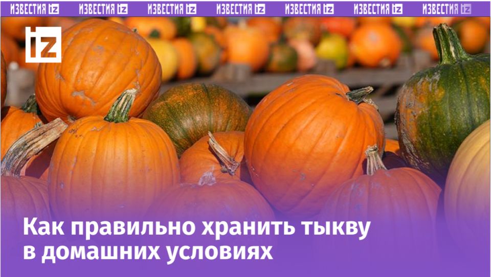 ������� ������ �����: ��� ������� ��������� ����� � ��������� ��� � �������� ��������