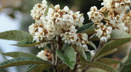 �������: ������������ ����� ������ �������� ��� ��������� ������� ������ ������