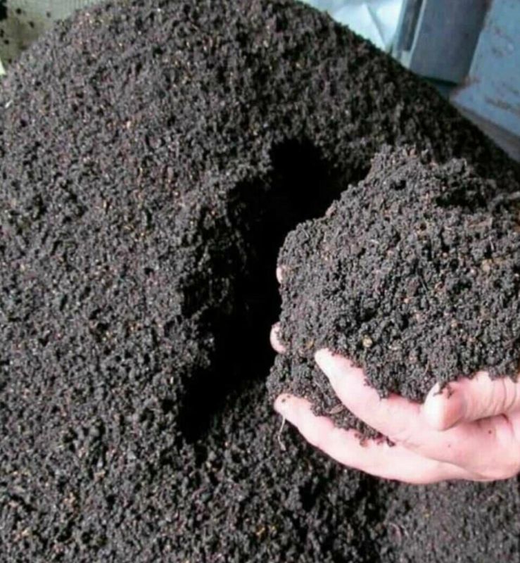 ��������: ������ �������� � ����������� ��������