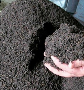 ��������: ������ �������� � ����������� ��������