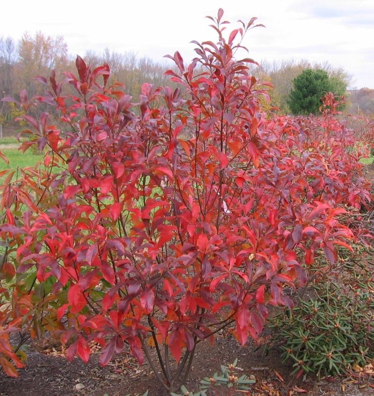 ���������� ��������: �������� �� ����� ������������