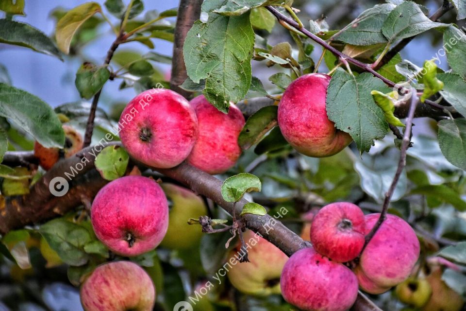 ��� ������� ��������� ������ ������ �� ������ � �������� ��������