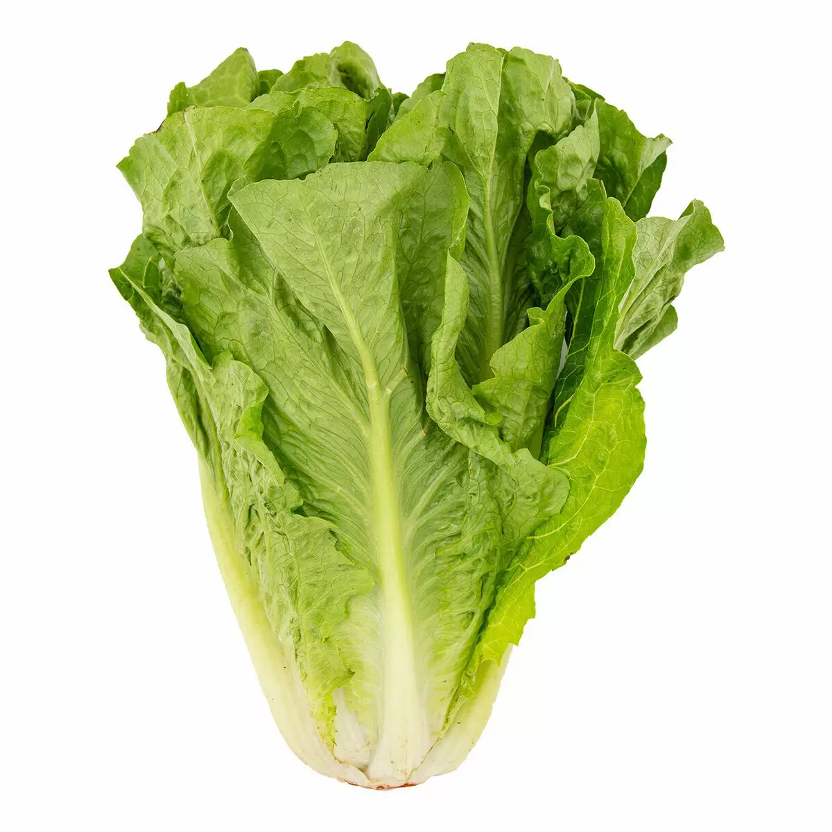 Объедините вкусы: салат с авокадо и апельсином, который покорит сердца