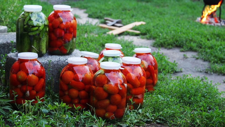 ��� �������� ������� �����: ������� ��������� ������������ ��������� �� �������� ���������