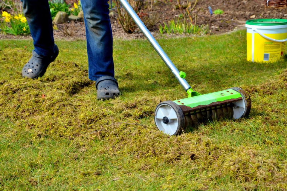 ��� ����������� ����� � �����: �������� ������ ��� ��������� �������