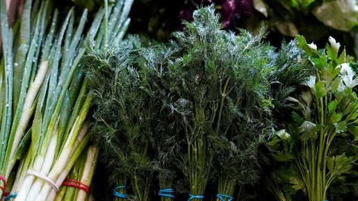 ������ � �����: ������ ������������ �� ������������ �������������