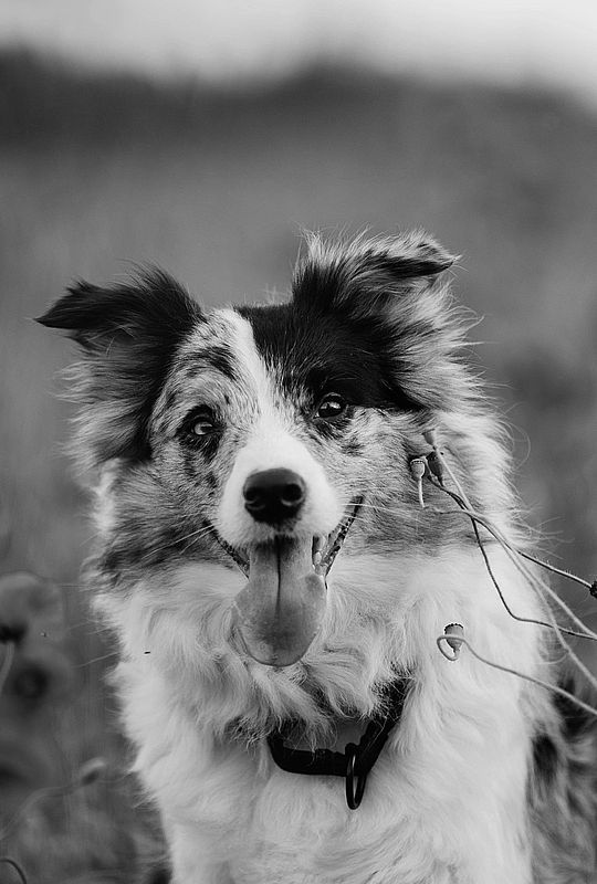 �����-���������� ����� � ��������� ����