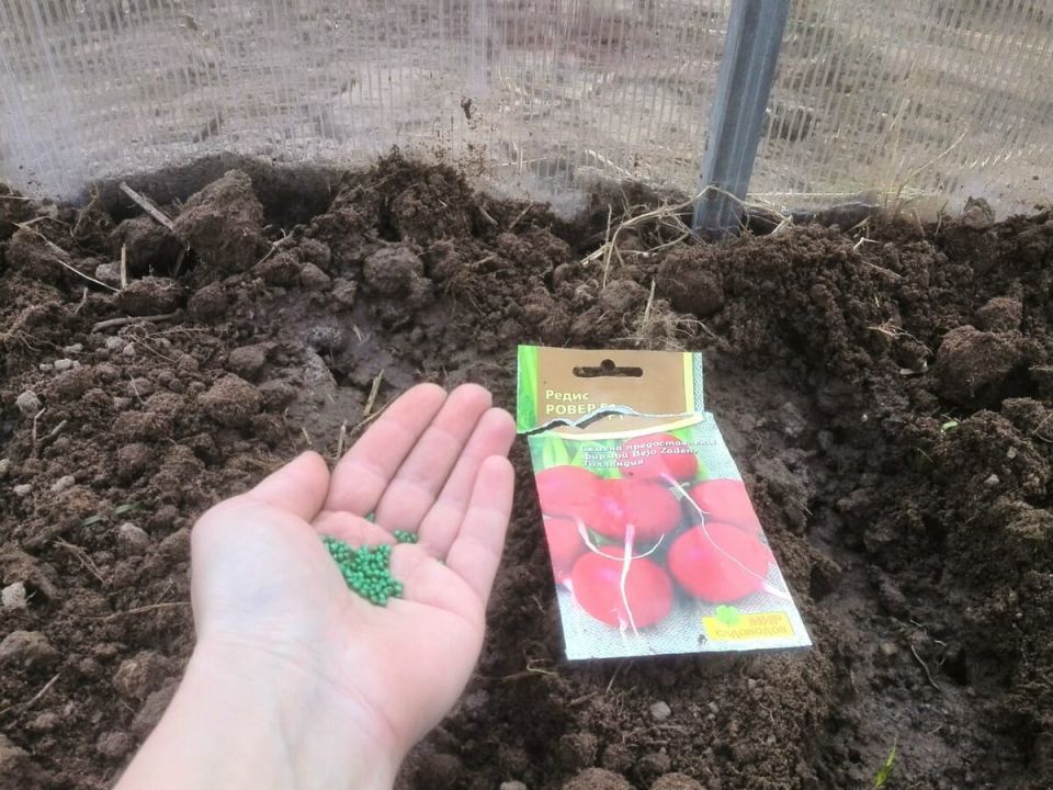 ����� �� ������: ��� ������� ��������� ����� � �������