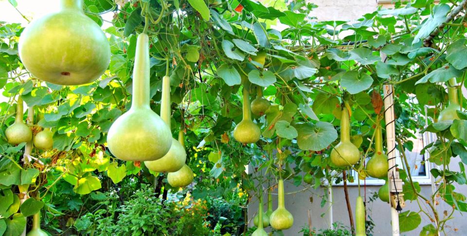 ���������: ������� �������� ����� � �������� ��������