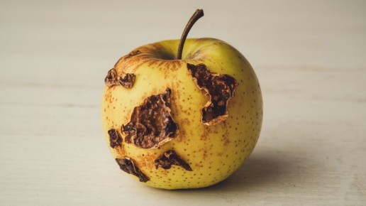 ��������: ���� � ������ ����� � ������ �� �����